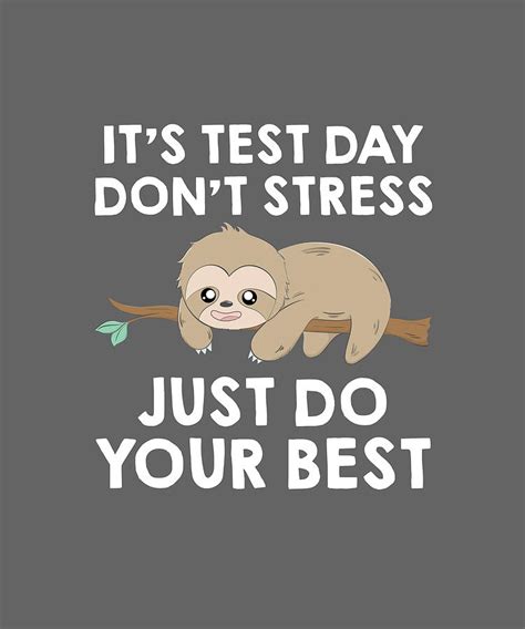 Its Test Day Dont Stress Just Do Your Best Sloth Teacher Digital Art