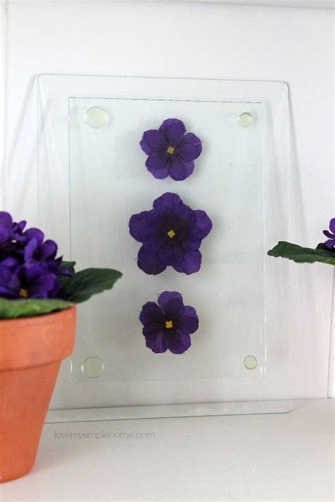 We did not find results for: Pressed faux flowers behind glass - Pretty Handy Girl