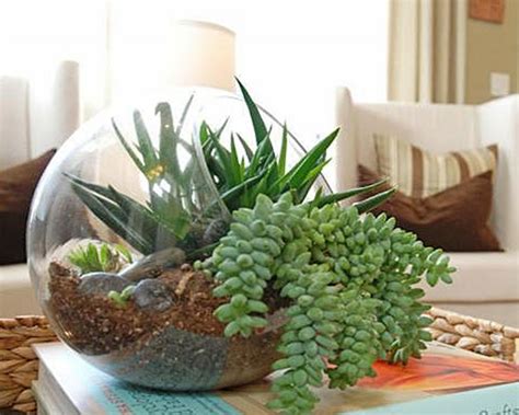 25 Indoor And Outdoor Succulent Gardens Of All Sizes