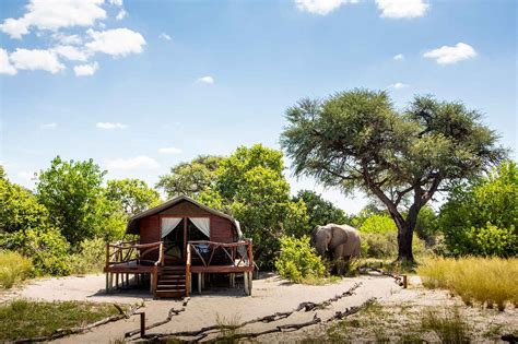 Camp Savuti In Botswana Chobe National Park