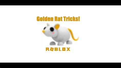 Showing You Guys All The Golden Rat Tricks In Adopt Me Roblox Youtube