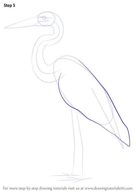 Learn How To Draw A Great Blue Heron Birds Step By Step Drawing