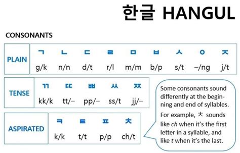 Korean Consonants Wit Communications Amino