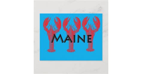 Maine Lobster Postcard Zazzle