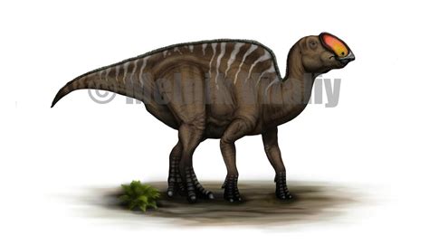 Lapampasaurus Wiki Prehistórico Fandom Powered By Wikia