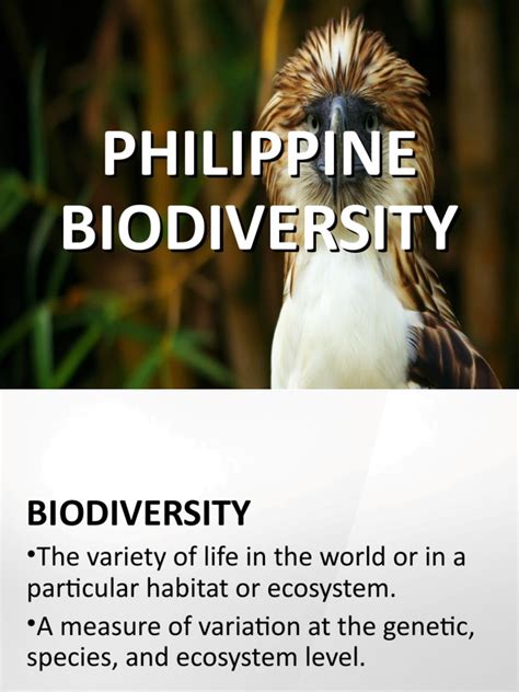 Philippine Biodiversityppt Biodiversity Forests