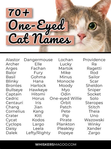 70 Clever Names For Cats With One Eye Whiskers Magoo In 2022 Novel