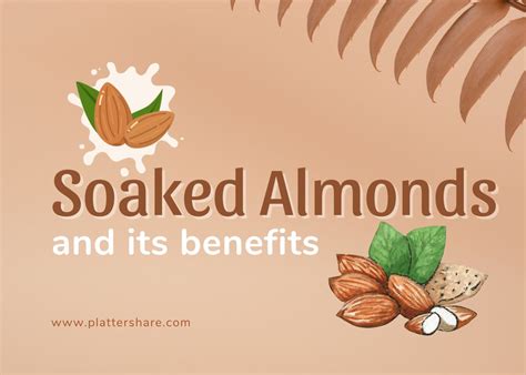 Soaked Almonds And Its Benefits How Many Almonds Can You Consume