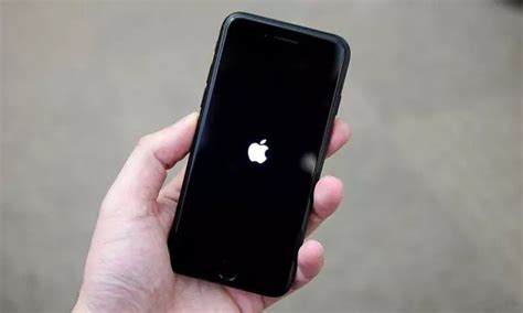 Why My Iphone Keeps Showing The Apple Logo And Turning Off How To Fix