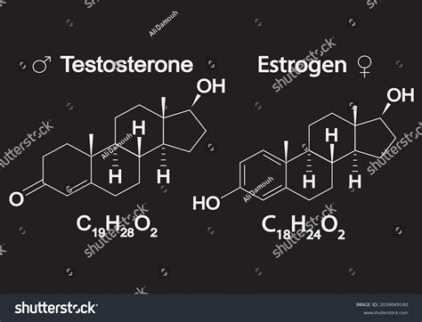 Humain Sex Hormones Molecular Formula Estrogen Stock Vector Royalty Free 2039049140 Shutterstock