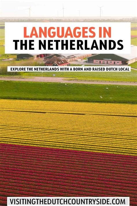 languages and dialects spoken in the netherlands visiting the dutch countryside