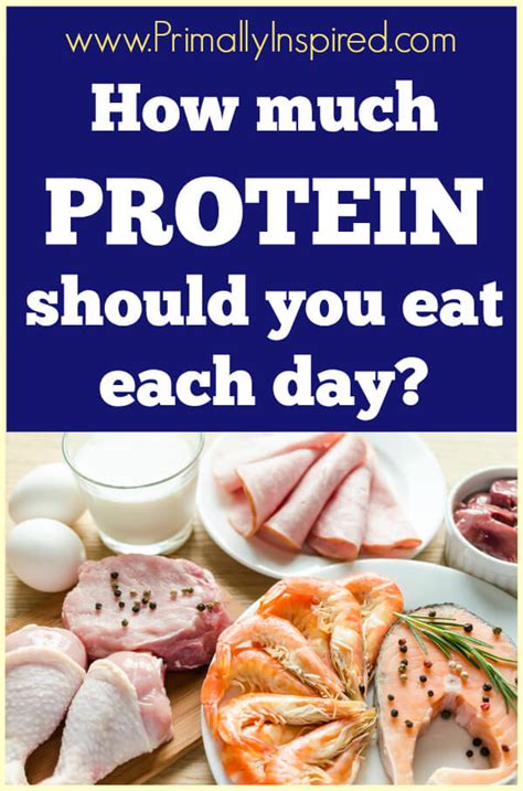 How Much Protein Should You Eat Each Day Primally Inspired