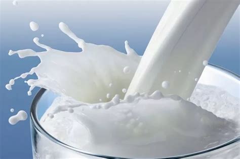 Which Milk Is Best For You Weve Compared White Stuff From Cows