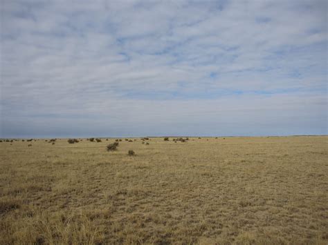 Colorado National Grasslands Federal Grasslands In Co