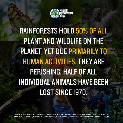 World Rainforest Day 22 June 2020 Convention On Biological Diversity