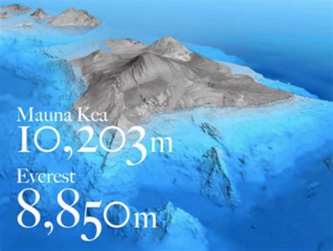 Mauna Kea Height From Ocean Floor Carpet Vidalondon