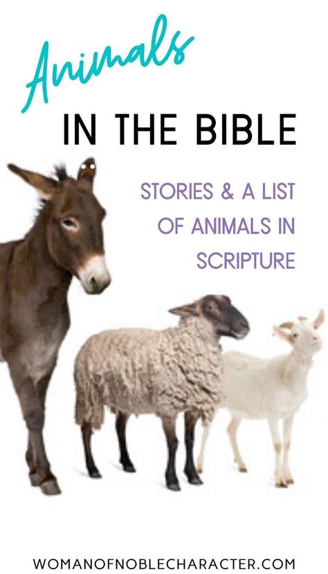 Animals In The Bible 14 Stories Of Animals In Scripture