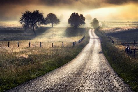 Nature Photography Landscape Morning Road Mist Field Grass