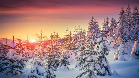 4k Winter Sunset Wallpapers Top Free 4k Winter Sunset Backgrounds