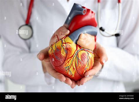 Artificial Heart Hi Res Stock Photography And Images Alamy