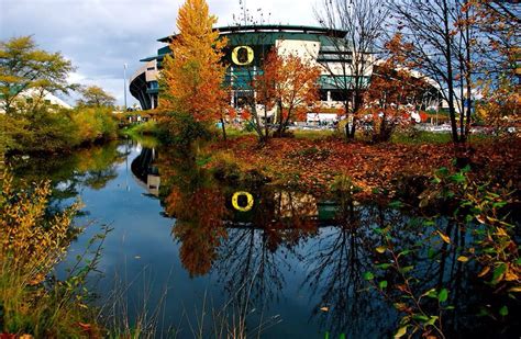 Pin By Rianna Ruschman On Wallpapers Oregon Football University Of