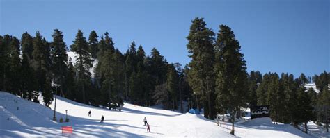 Best Places To Play In The Snow Near Los Angeles Socal