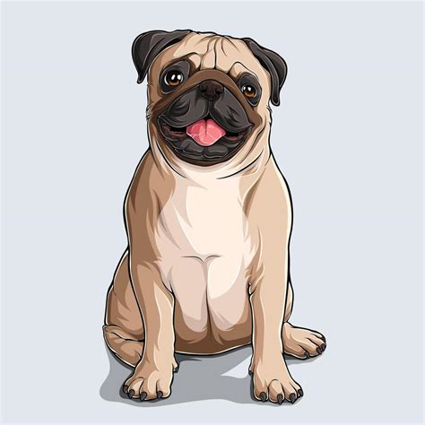 Pugs Vectores Iconos Gr Ficos Y Fondos Para Descargar Gratis