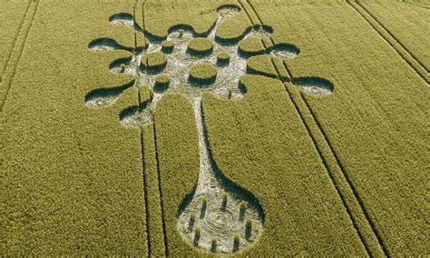 Poor Harvest Mysterious 200ft Covid Crop Circle Appears In Wiltshire