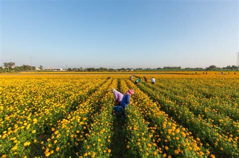 Maybe you would like to learn more about one of these? Ini Dia 3 Taman Tercantik di Bali, Sudah Pernah ke Sini ...