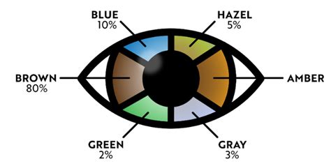 How Many Eye Colors Are There Which One Are The Most Common