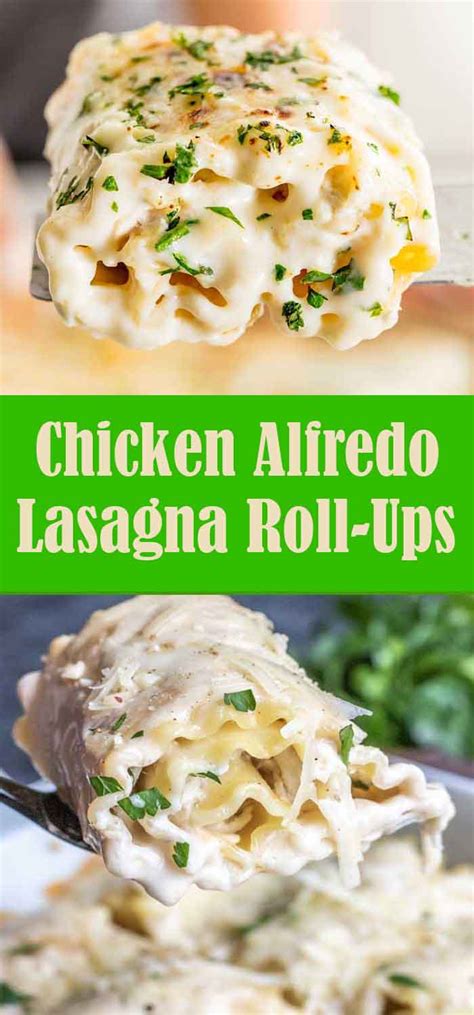 Yummy Chicken Alfredo Lasagna Roll Ups Reserveamana