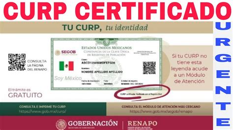 💥cómo Certificar Curp 2023 Ante La 🔴renapo Pasos Y Requisitos Hoy Aquí☝️ Youtube