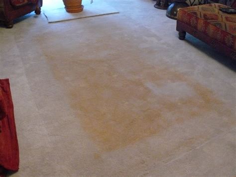 yellow stains   carpet   area rug cjs
