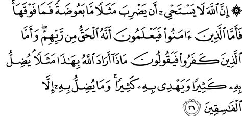 Surah Al Baqarah Ayat 26 27 With Urdu Translation Imagesee