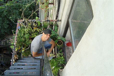 8 Brilliant City Gardening Blogs Lifestyle