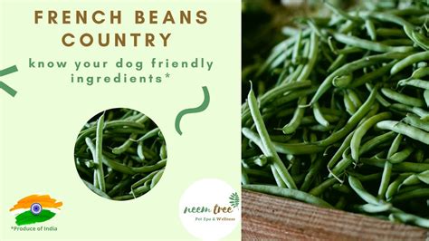 All our bowls are conveniently packed, nutritionally balanced and delivered to your doorstep. French Beans - Home Cooked Dog Food - YouTube