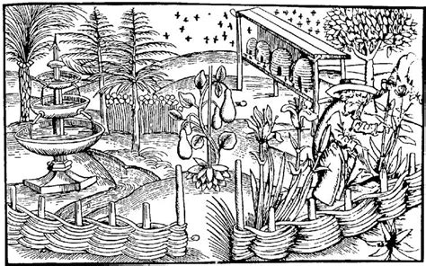 Garden With Fountain Medieval Life Medieval Drawings Medieval Art