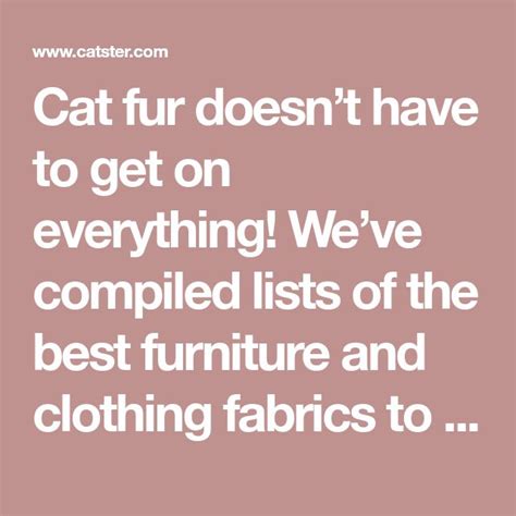 Cat Fur Doesnt Have To Get On Everything Weve Compiled Lists Of The Best Furniture And