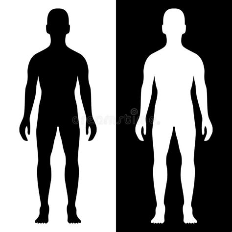 Vettore Silhouette Corpo Umano Illustrazione Vettoriale Illustrazione