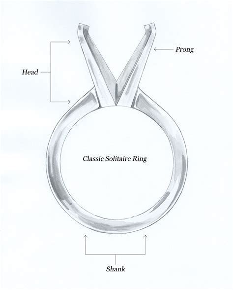 Anatomy Of An The Anatomy Of An Engagement Ring Plante Jewelers