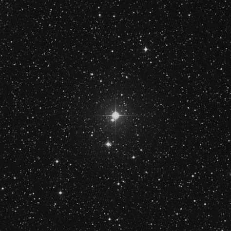 26 Cygni Star In Cygnus