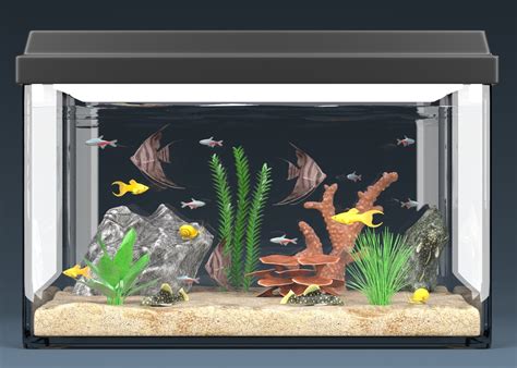 6 Aquariums Equipped 3d Model