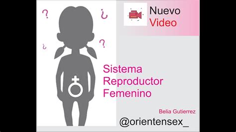 Sistema Reproductor Femenino Youtube