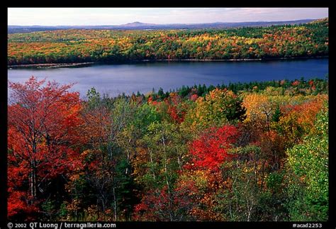 Picturephoto Eagle Lake And Autumn Colors Acadia National Park