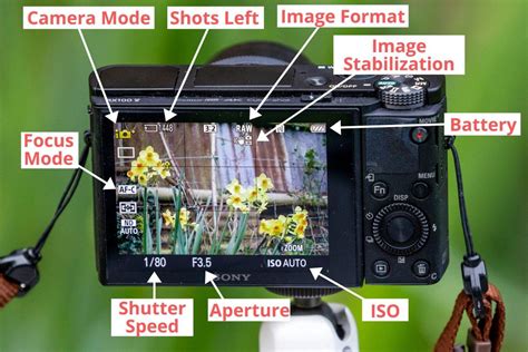 How To Use A Point And Shoot Camera A Detailed Guide To Compact