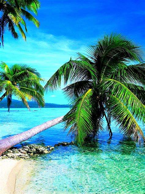 Free Download Beach Screensavers And Wallpapers Tropical Beach With Clear Water 1920x1200 For