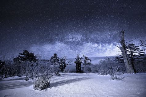 Nature Landscape Night Star Sky Milky Way Snow Winter Tree