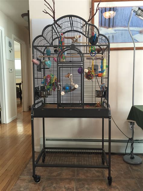 A Brief Review Of Every Budgie Cage We Own Homekeethome