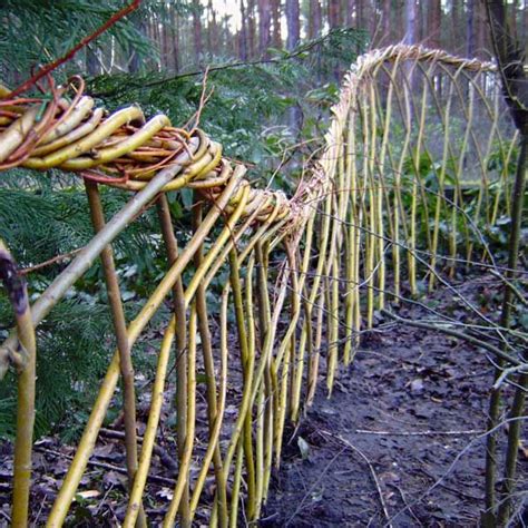 Gestein bewohnende arten 22 flechten im botanischen garten: Wendland - Weide | Garten, Gartenhütte, Rustikale pergola