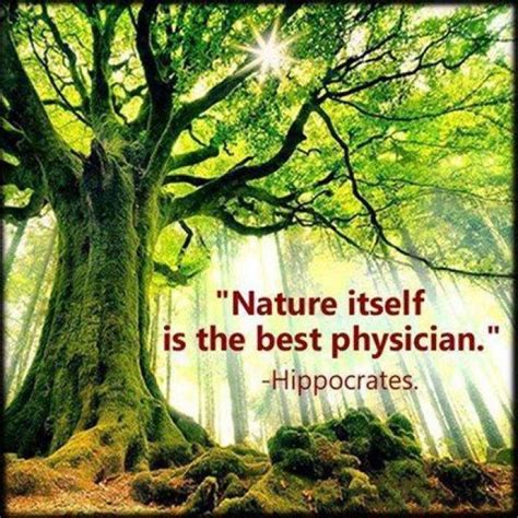 Pin By Candace Arnold On Magick Natural Medicine Quotes Nature